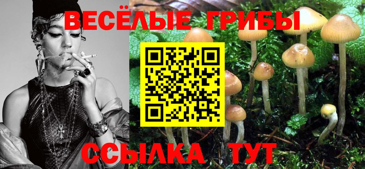 Реутов  Галлюциногенные грибы GOLDEN TEACHER  Вход с VPN 