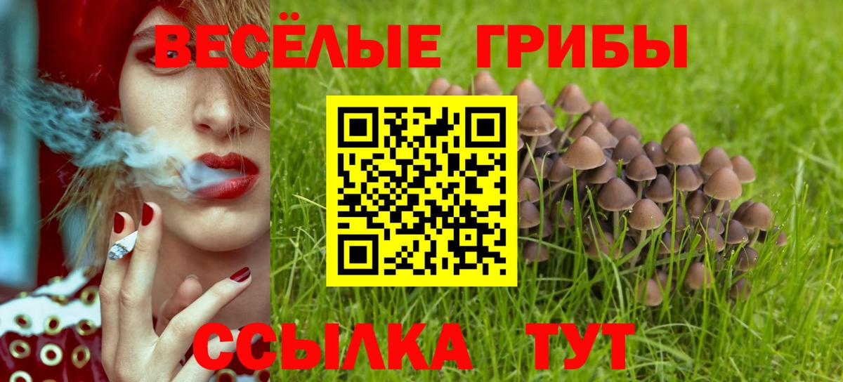 Псилоцибиновые грибы Psilocybine cubensis Реутов